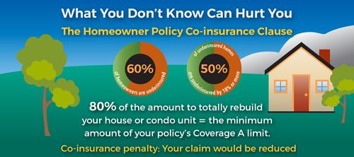 Homeowners Policy Clause Infographic