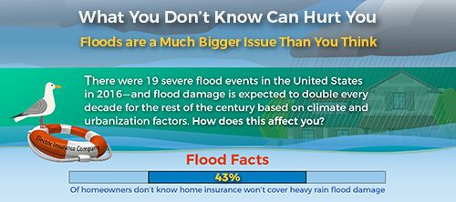 Flood Insurance Facts Infographic